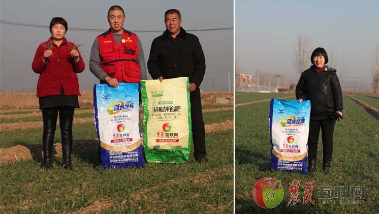 冀南新区的粮农信赖拥民肥料